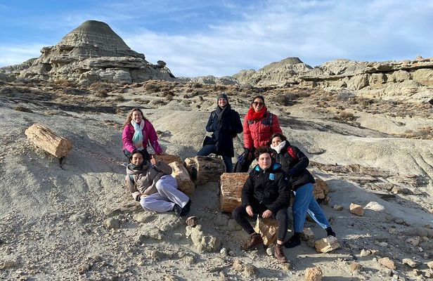 Discover La Leona Petrified Forest: Guided Hiking Tour