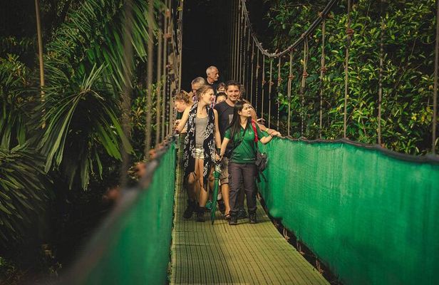 Monteverde Combo: Cable Car, Zipline, Hanging Bridges