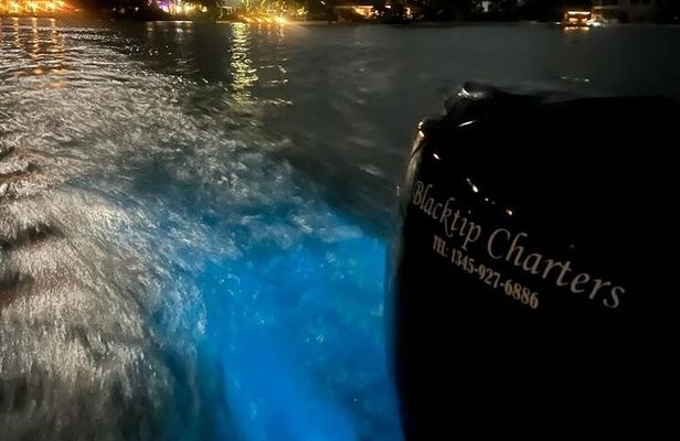 Private Bioluminescence Tour in Grand Cayman