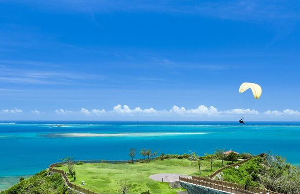 Port Pick-Up: Naha Private Tour Licensed Guide& Vehicle
