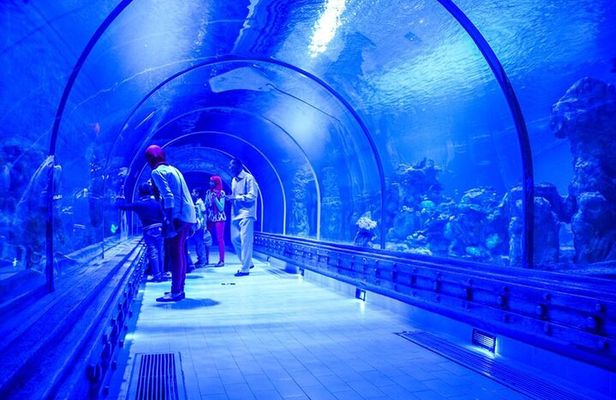 2 Hours Red Sea Wonders Tour at Hurghada Grand Aquarium