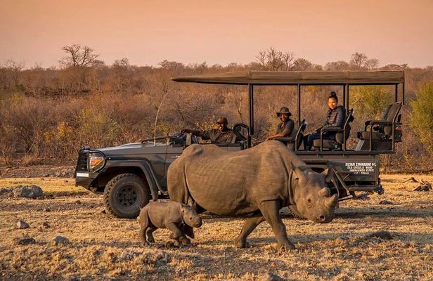 Morning or Afternoon Game Drive In Victoria Falls