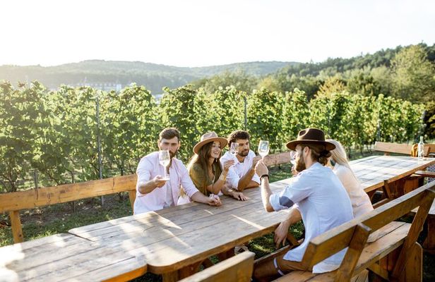 Stancija Collis: A Winery Adventure Tour in Rovinj