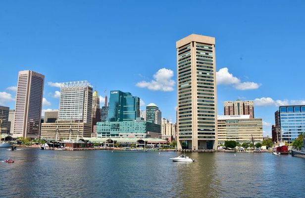 City Cruises Baltimore Harbor Tour