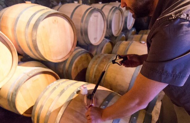 Uco Valley Wine Experience - Private - The Best Wine Tour & Lunch