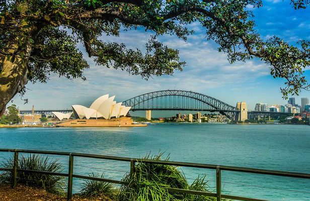 Sydney Combo: Morning Sightseeing to Bondi & Harbour Lunch Cruise