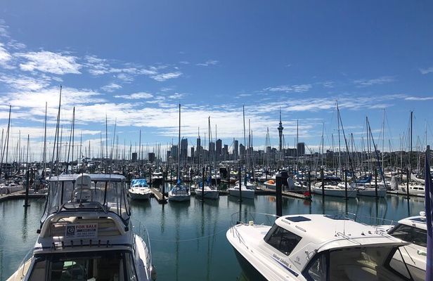Private Auckland Half Day Tour