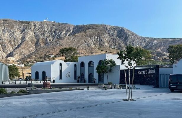 Santorini Wine Tasting and Wine Museum