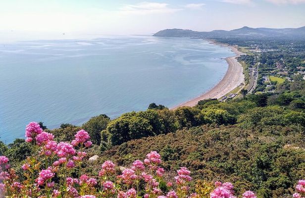 Top-Rated Walking Tour of Scenic Coastal Dublin (Dun Laoghaire)