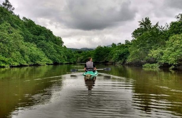 Kayaking to the Islands & mangroves in Paraty