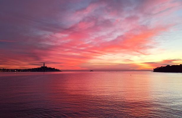 Dolphin Watching Sunset Speedboat Tour with Drinks in Rovinj
