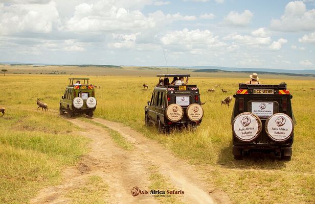 Masai Mara 3 Days Tour Safari Private 4WD Landcruiser 