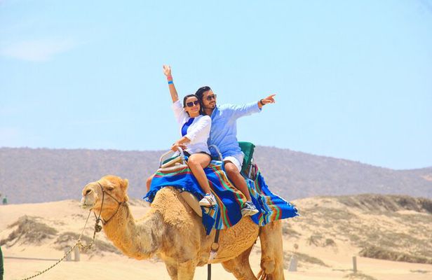 Camel riding experience on the shores of the Pacific Ocean