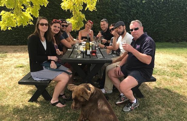 Half Day Wine Tour in Napier