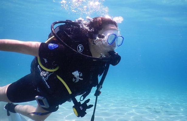 3 Hour Private Scuba Diving Experience