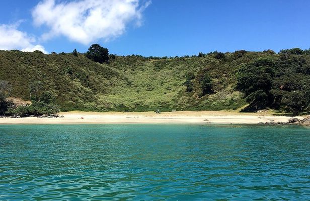 Waiheke Island Private Bush and Beach Walk