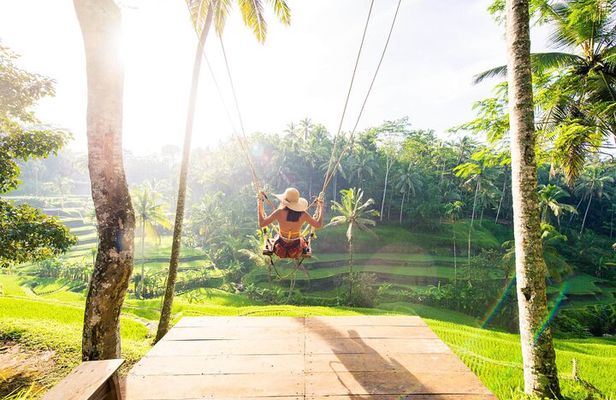 Ubud Full Day Tour Waterfall Monkey Forest Rice Terrace