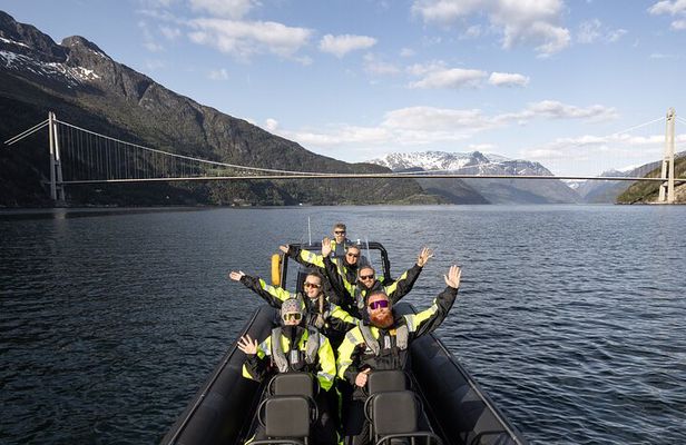 Ulvik Ultimate Hardangerfjord RIB adventure