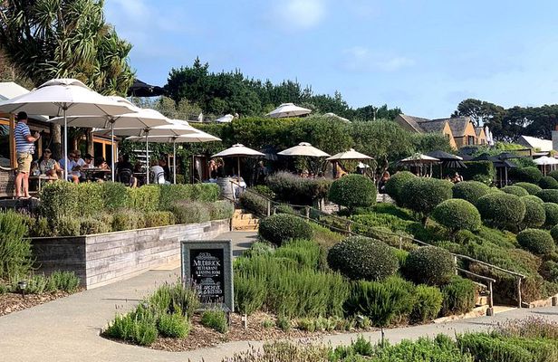 Private Vineyard Bush Walk Tour in Waiheke Island