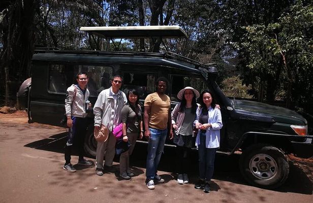 Nairobi National Park Daily Game drives.