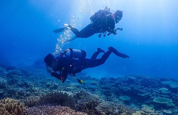 Okinawa Scuba Diving For Certified Divers (3 boat dives + Lunch)