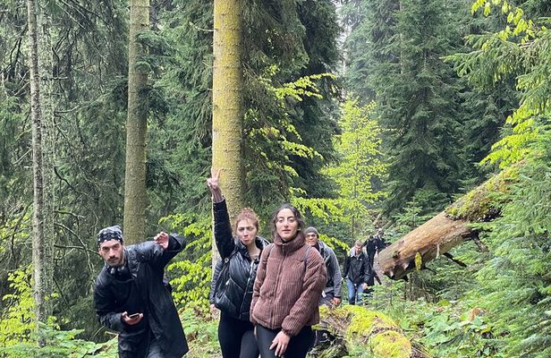 13 km hike in Borjomi - Group tour from Kutaisi