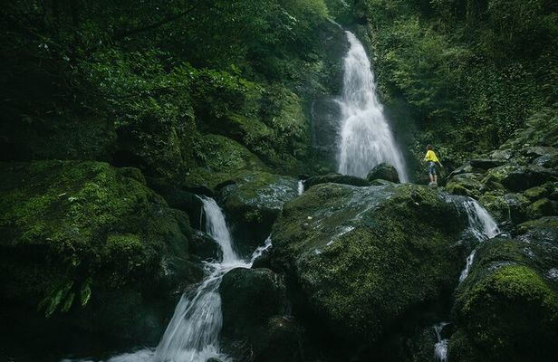 Group Hiking Tour in Mtirala National Park