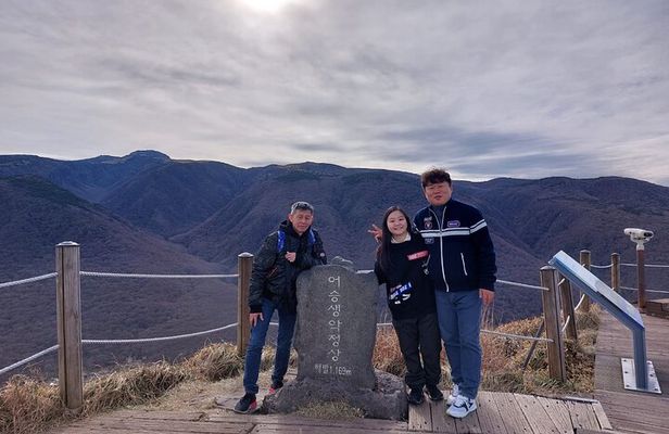 Jeju Island Private Taxi Tour: Mt. Hallasan and Waterfalls