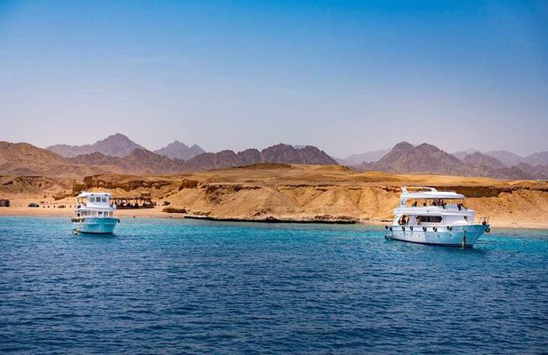 Ras Mohammed and White Island Snorkeling Sea Trip with Lunch