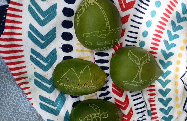Authentic St Lucia Calabash Carving Experience with Local Artist