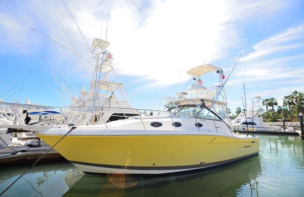 Luxury Fishing Charter