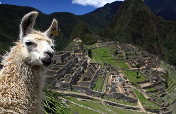 Salkantay Trek to Machu Picchu 