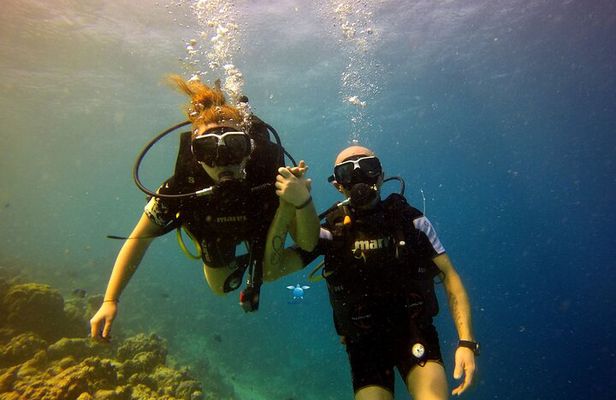Discover Scuba Diving in Dharavandhoo