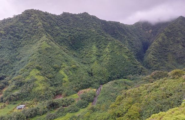 Tahiti Fautaua Valley and Big Waterfall Private Hiking Tour