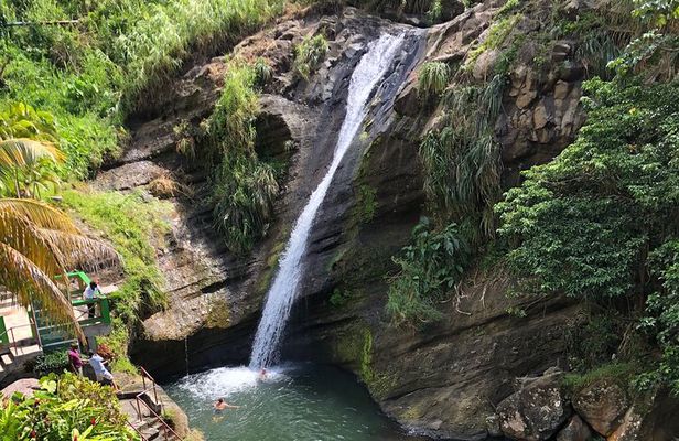 West Coast: Rum Distillery, Concord waterfall, Nutmeg processing