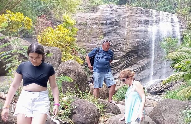 Paradise Cascades: Discover Grenada's Majestic Waterfalls Tour