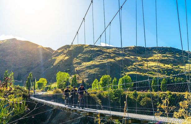 Bike The Wineries 3/4 Day Ride - Queenstown
