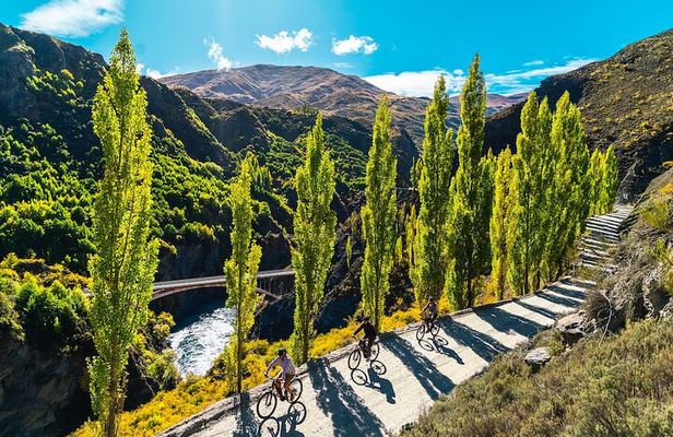 Bike The Wineries Full Day Ride - Queenstown