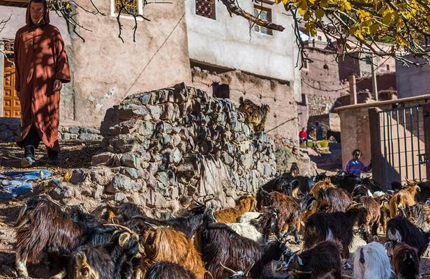 Full Day hike From Marrakech to atlas mountains with Berbers