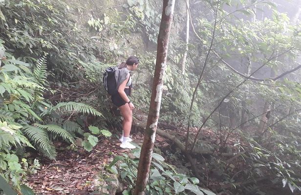 Full-Day Private Guided Hiking Tour of Ba Vi National Park