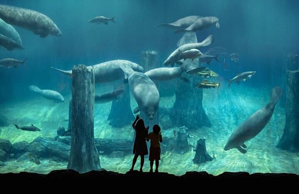 Singapore Zoo & River Wonder Day Ticket & Transfer