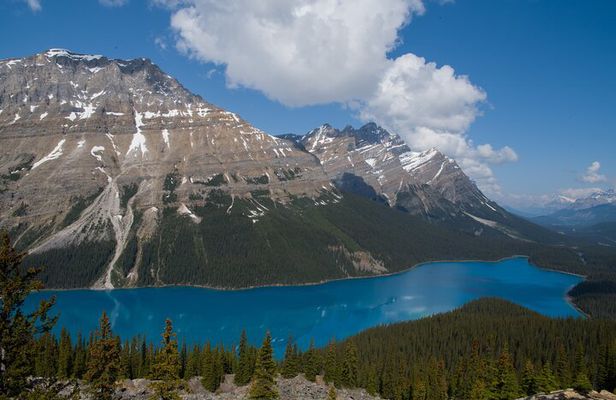 Full Day Tour-Johnston Canyon, Lake Louise, Peyto Lake,...