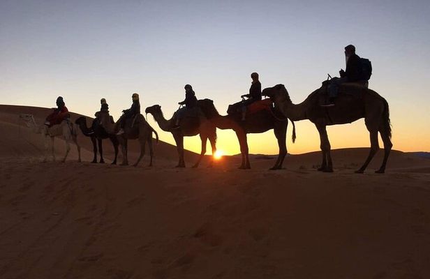 Desert Tour from Casablanca 8 Days Morocco Exploration