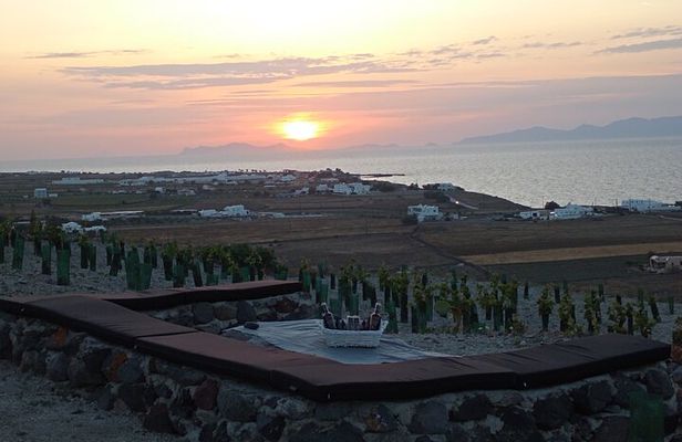Santorini: Private Agri-Educational Visit to an Organic Farm