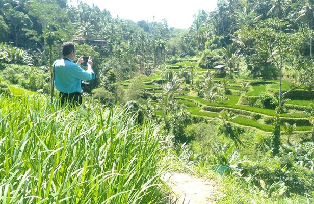 Best Of Ubud Waterfall Swing Private Guided Tour