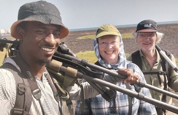 Bird Observation in Cape Verde 