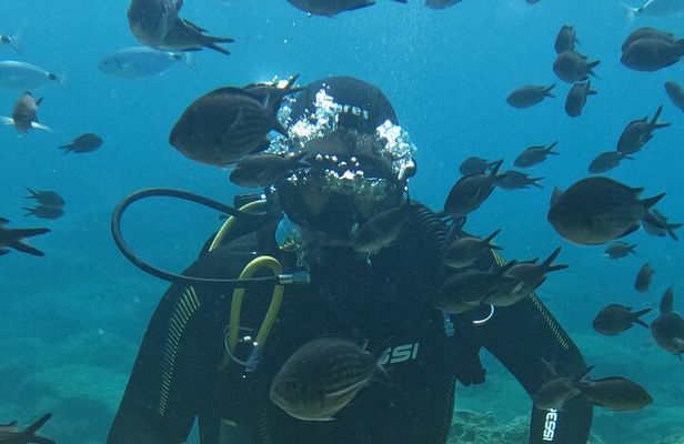 Dive The Rock (Scuba Diving Experience in Protaras)