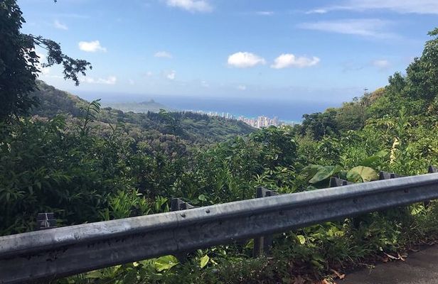 Easy Private Hike in Honolulu (Choose 1 of 2 trails) 2-4hrs