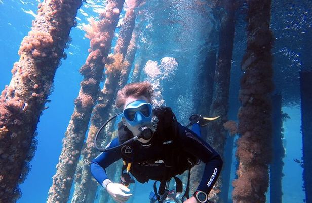 Private Scuba Diving Adventure in the Red Sea of Aqaba