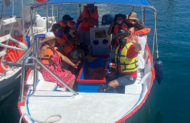Whale Watching on a Glass Bottom Boat